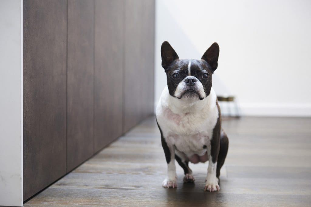 Casanora Oct19 Malbrook Road Sw15 056 | CasaNora, Putney